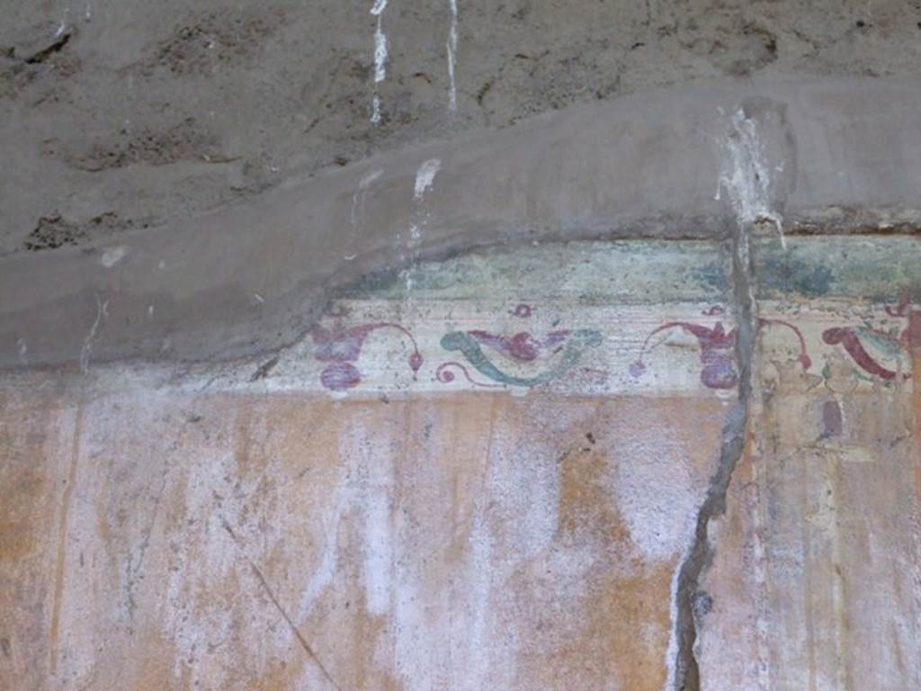 VI.14.20  Pompeii.  March 2009.  Room 13.  Decorated border on top of painted plaster.