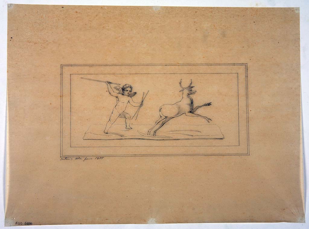 VII.4.31/51 Pompeii. Drawing by Antonio Ala, 1855, of a painted panel with a Cupid giving chase to a deer.
There is no exact location known for this panel.
Now in Naples Archaeological Museum. Inventory number ADS 1186.
Photo © ICCD. http://www.catalogo.beniculturali.it
Utilizzabili alle condizioni della licenza Attribuzione - Non commerciale - Condividi allo stesso modo 2.5 Italia (CC BY-NC-SA 2.5 IT)