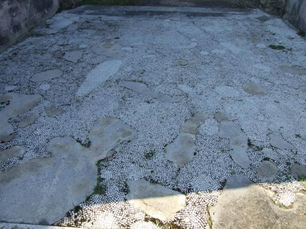 VII.4.31 Pompeii. March 2009. Room 23. Exedra, mosaic floor.