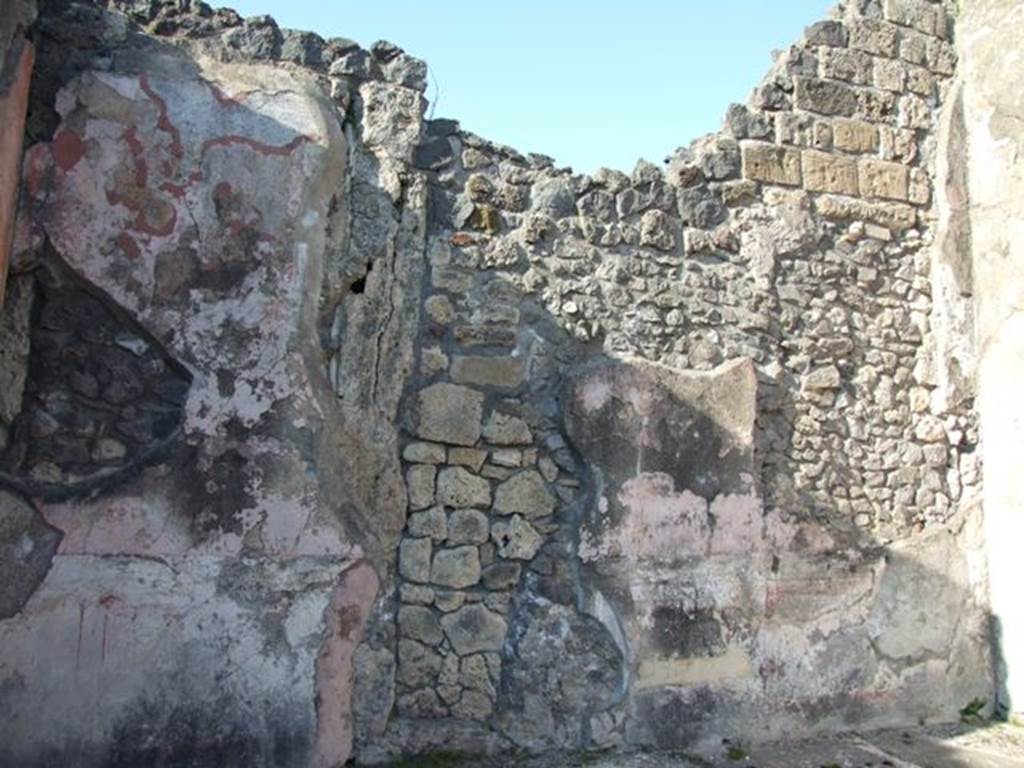 VII.4.31 Pompeii. March 2009. Room 24. North wall.