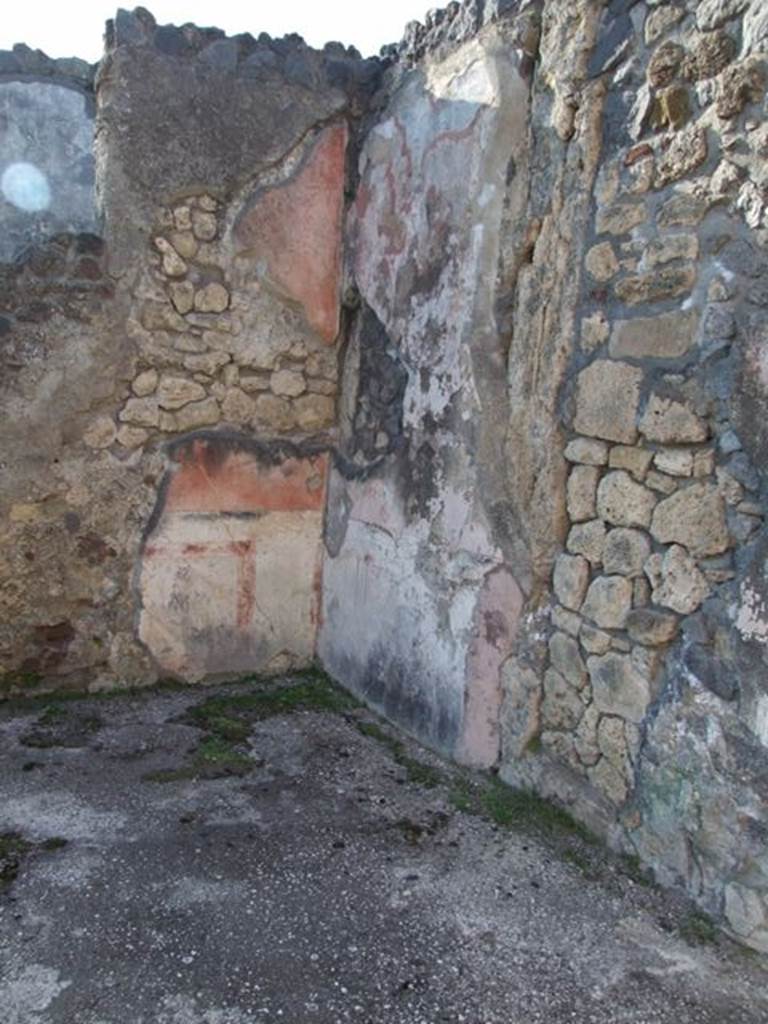 VII.4.31 Pompeii. March 2009. Room 24. North wall.