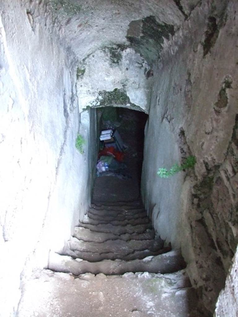 VII.4.31 Pompeii. March 2009. Room 27. Steps to Cellar.