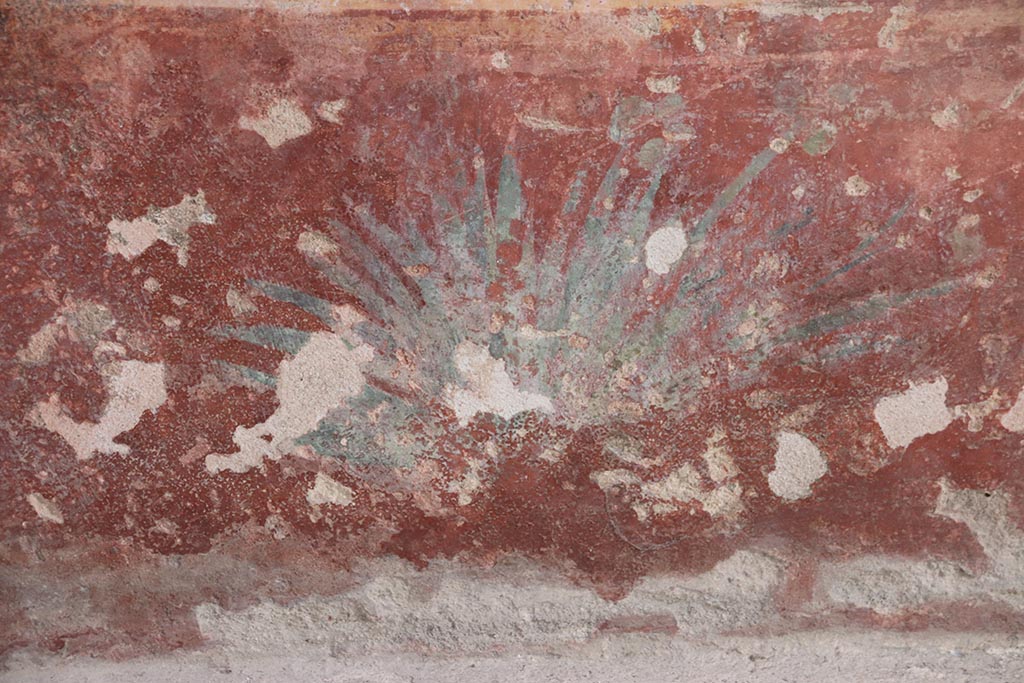 VII.5.8 Pompeii. October 2024. Tepidarium (49), detail of painted plant on zoccolo from lower west wall. Photo courtesy of Klaus Heese.