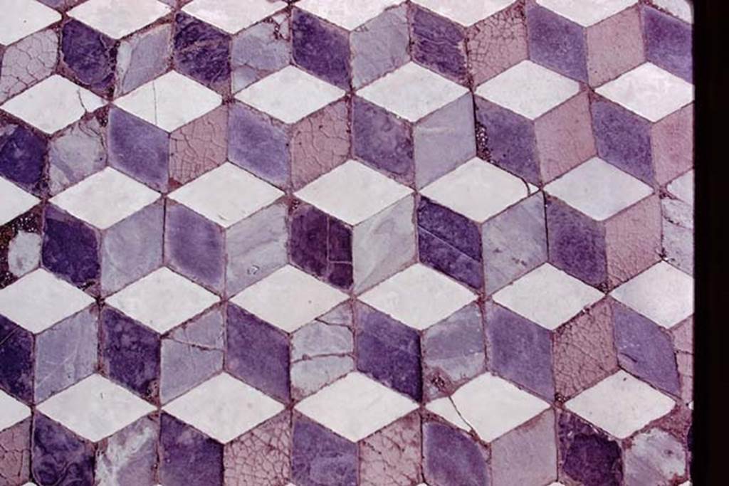 VII.7.5, Pompeii, 1978. Detail of mosaic floor with tiles in the shape of cubes. Photo by Stanley A. Jashemski.
Source: The Wilhelmina and Stanley A. Jashemski archive in the University of Maryland Library, Special Collections (See collection page) and made available under the Creative Commons Attribution-Non Commercial License v.4. See Licence and use details.
J78f0217