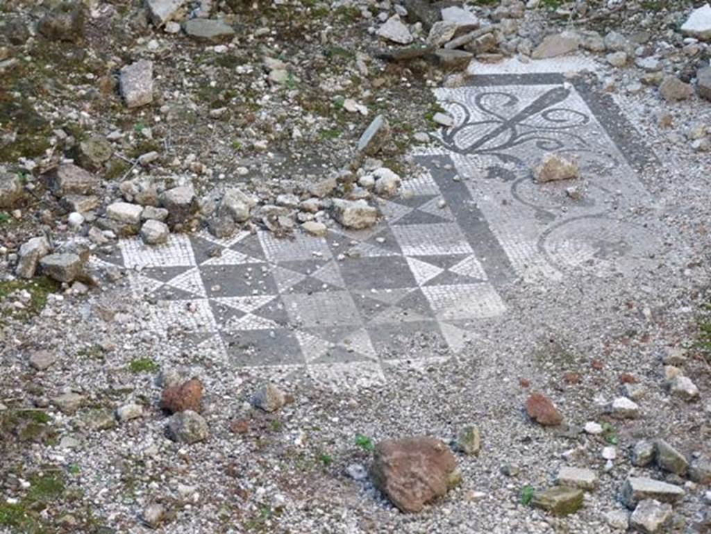 VII.15.2 Pompeii. December 2007. Bedroom on west side of Atrium. Floor mosaic with a pattern of squares and triangles bordered with a garland of ivy.