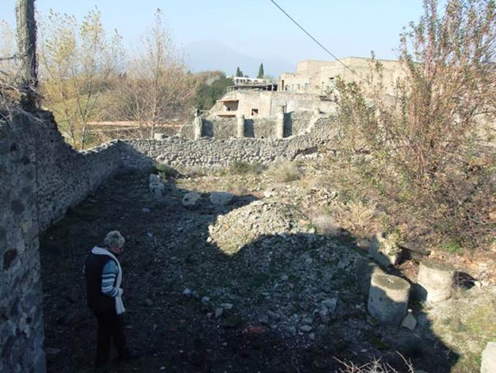 VII.15.2 Pompeii. December 2007. Garden, looking north to House of Fabius Rufus, and Vesuvius at the rear. According to Garcia y Garcia, during the bombardment of 13th September 1943 two bombs fell on this house. One destroyed the latrine on the extreme west of the southern walkway of the portico. The other caused the demolition of a part of the perimeter wall of the garden on the north-west side of the house.
The changes to the area also caused the fall of the columns on the south portico. The collection of amphorae, provenanced from this house, that were stored in the garden were mostly destroyed.
See Garcia y Garcia, L., 2006. Danni di guerra a Pompei. Rome: L’Erma di Bretschneider. (p.126)