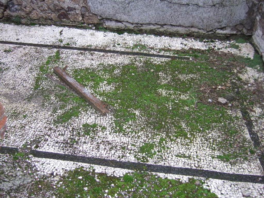 VII.16.15 Pompeii. September 2005. Room 12, mosaic floor in Cubiculum on south side of Atrium.