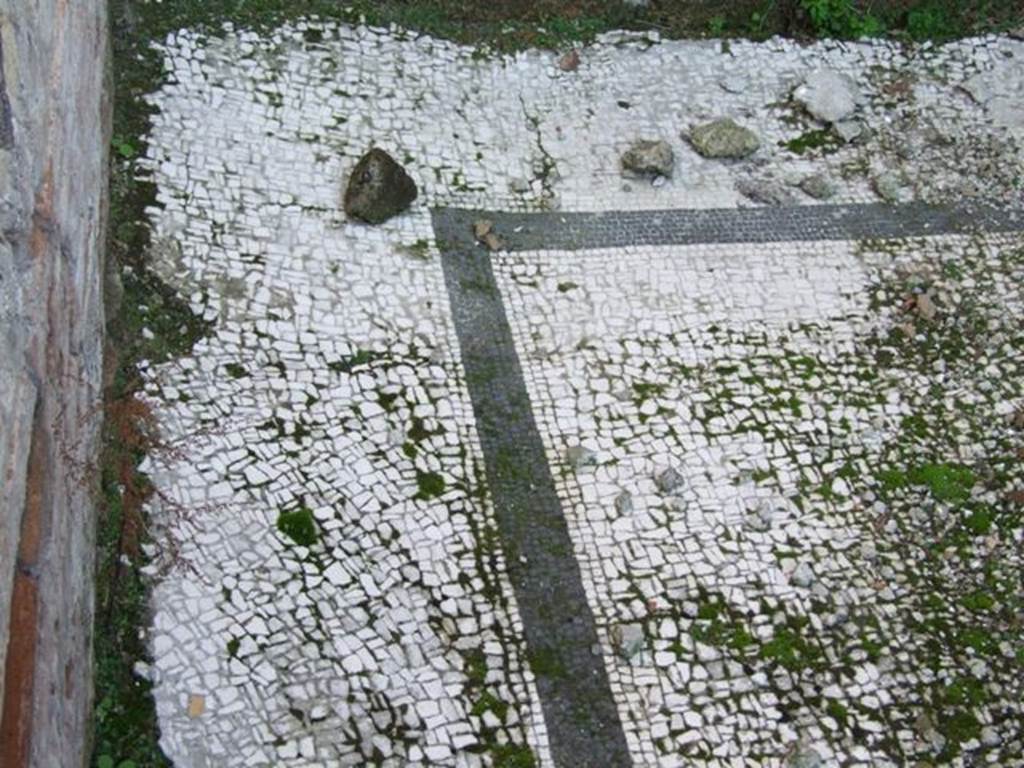 VII.16.15 Pompeii. December 2007. Room 12, detail of mosaic floor in cubiculum.