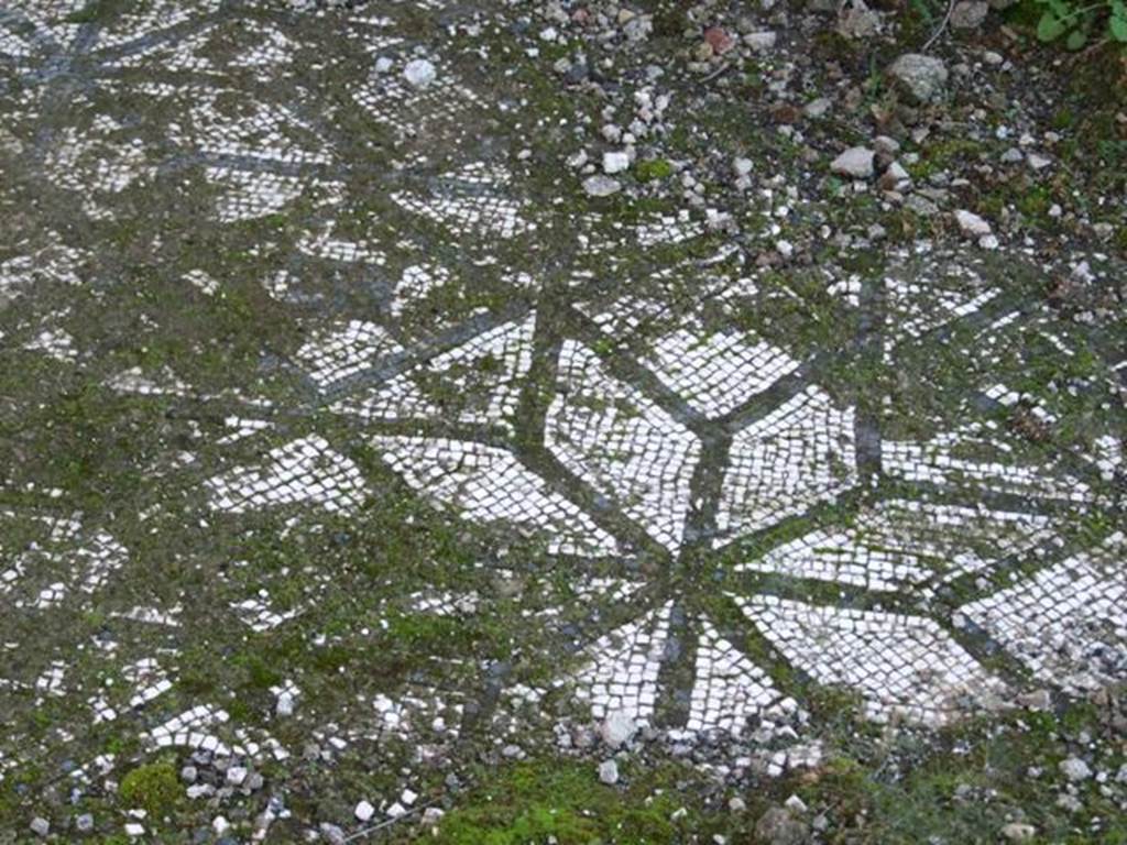 VII.16.15 Pompeii. December 2007. Room 9, floor mosaic in ala.