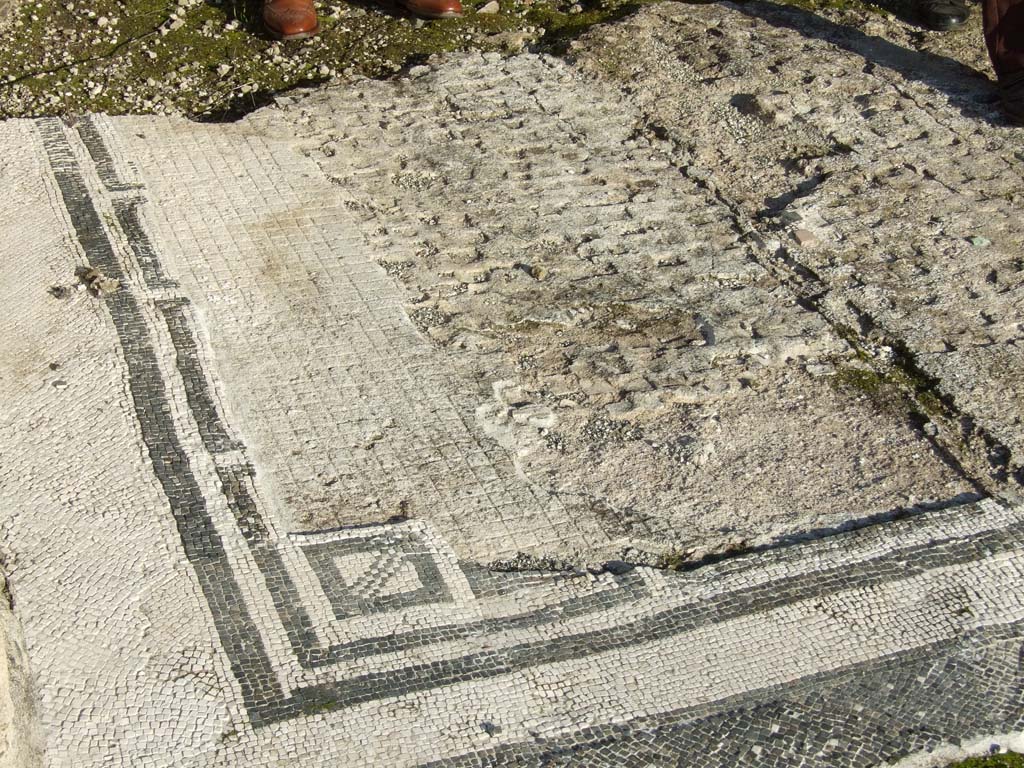 VII.16.15 Pompeii. December 2007.  Room 1, entrance fauces mosaic.