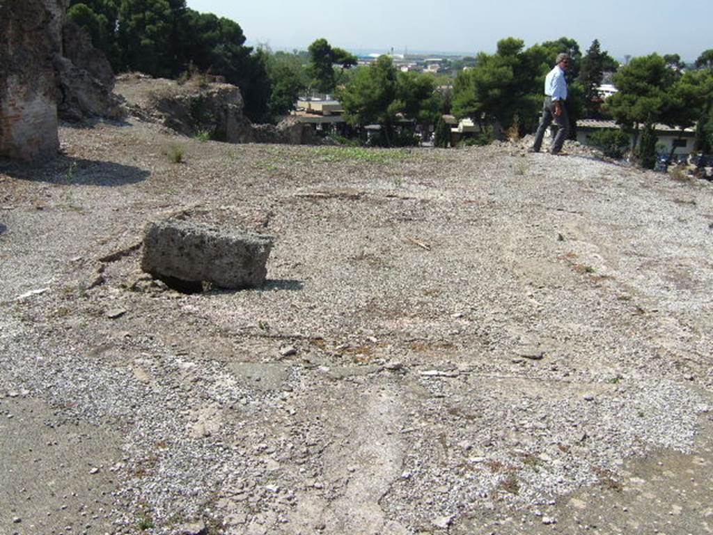 VII.16.15 Pompeii. September 2005. Room 2, looking west across impluvium in atrium. The impluvium had one of the Garum mosaics in each corner. In the Atrium at each corner of the impluvium was a black and white mosaic of an amphora with a Latin inscription for the four Roman fish sauces. Three of the four amphorae name Aulus Umbricius Scaurus, the wealthy Pompeian Garum producer and merchant. According to Clarke these had the inscriptions
  G(ari) F(los) SCO(mbri) / SCAURI / EX OFFI(CI) / NA SCAU / RI
  LIQUA(men) / FLOS 
  G(ari) F(los) SCOM(bri) / SCAURI 
  LIQUAMEN / OPTIMUM / EX OFFICIN / A SCAURI
See Clarke, J. R. in Dobbins, J. J. and Foss, P. W., 2008. The World of Pompeii. Oxford: Routledge. (p. 330).