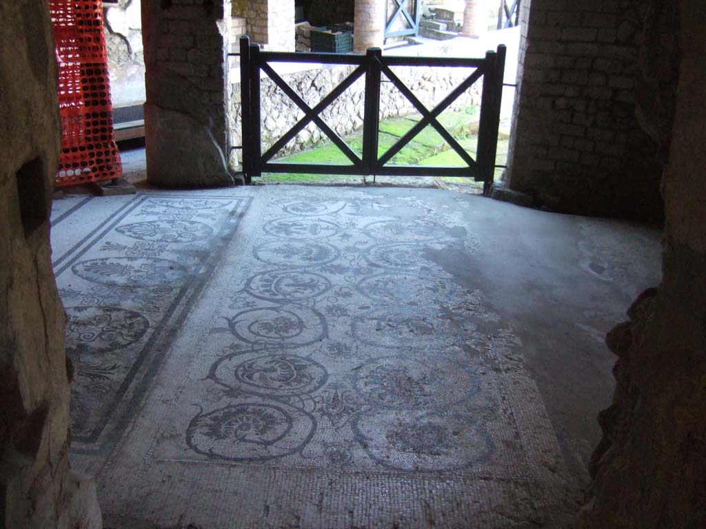 VII.16.a Pompeii. September 2005. Vestibule 8, looking west from doorway of room 6, across mosaic floor.