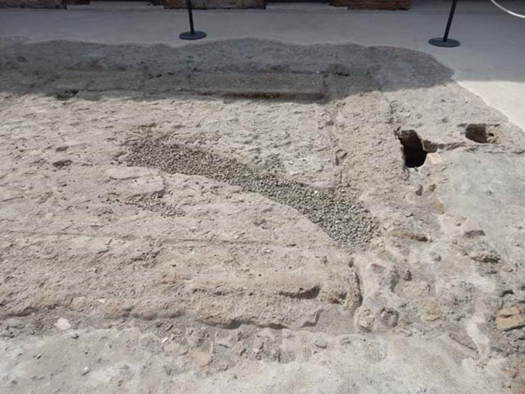 VIII.2.16 Pompeii. May 2017. Looking south across west end of site of impluvium. Photo courtesy of Buzz Ferebee.

