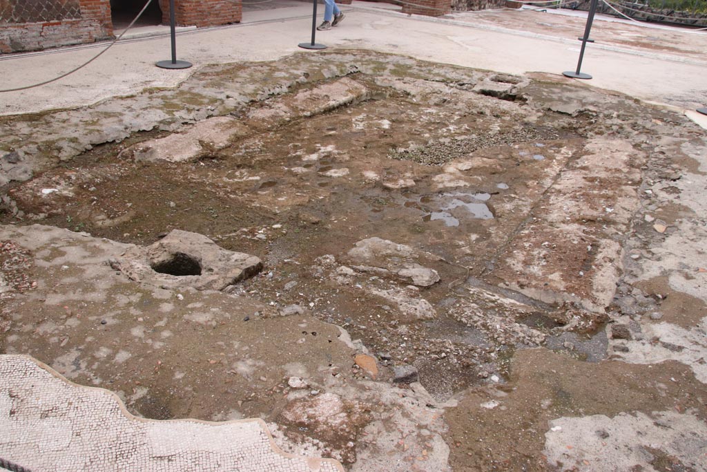 VIII.2.16 Pompeii. May 2024. Looking across impluvium towards west end. Photo courtesy of Klaus Heese.