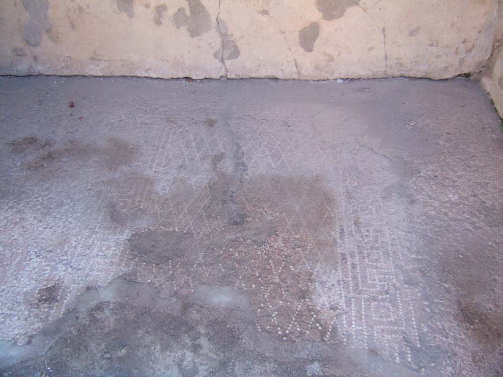 VIII.2.16 Pompeii. September 2005. Cubiculum on south side of atrium, with decorated floor. 