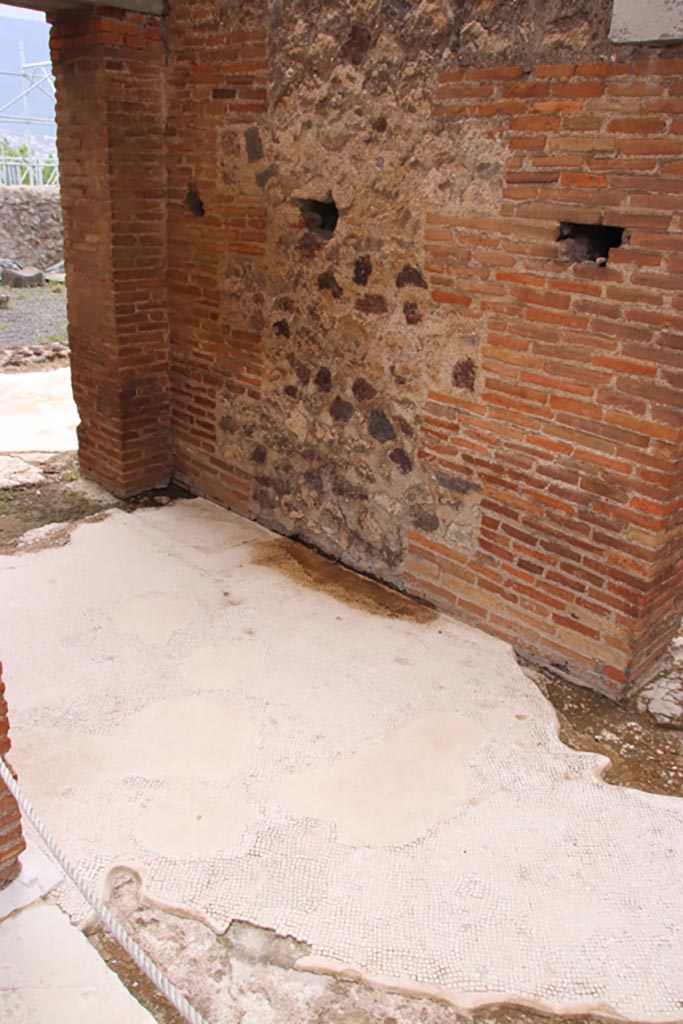 VIII.2.16 Pompeii. May 2024. 
Flooring in passageway, looking south. Photo courtesy of Klaus Heese.
