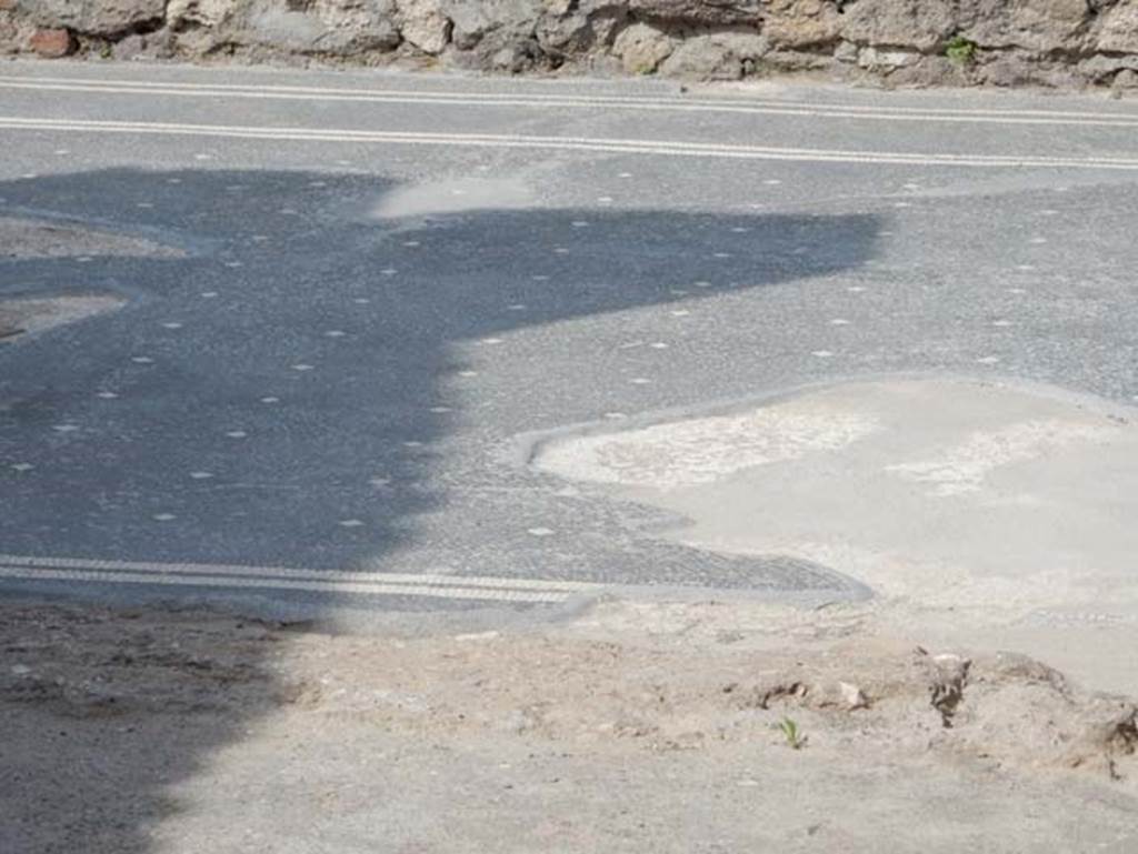 VIII.2.16 Pompeii. May 2017. Flooring of east portico. Photo courtesy of Buzz Ferebee.