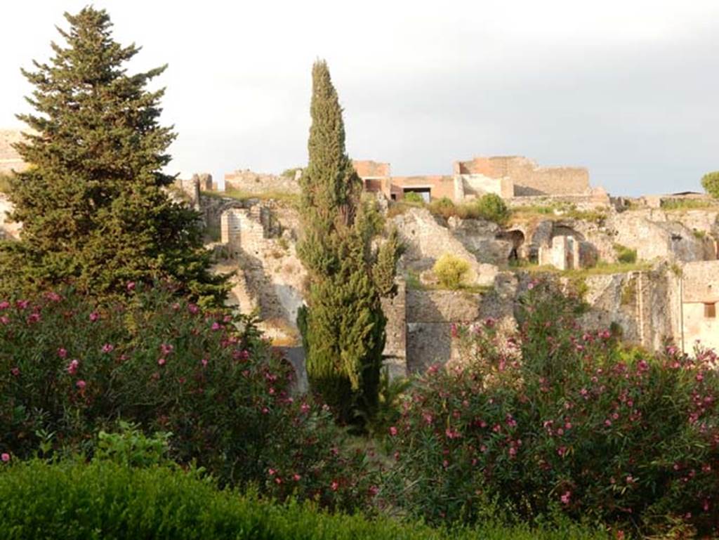 VIII.2.16 Pompeii. May 2018. Looking east towards rear of house at top of slope, and lower levels. Photo courtesy of Buzz Ferebee.
