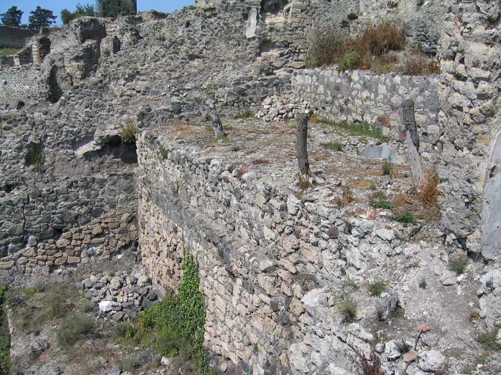 VIII.2.16 Pompeii. April 2004. Looking north-west from area of room 220 (collapsed), across area 213 with pool.
Corridor 212 is in the centre on the left. Photo courtesy of Sandra Zanella.
