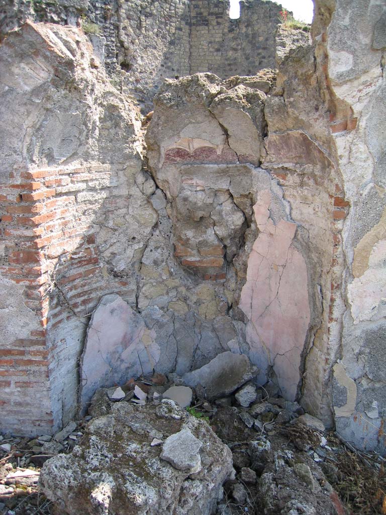 VIII.2.16 Pompeii. April 2004. 
Niche 214, the vault of the semi-circular niche built into the east wall of area 213, would have been painted white. 
Photo courtesy of Sandra Zanella.
