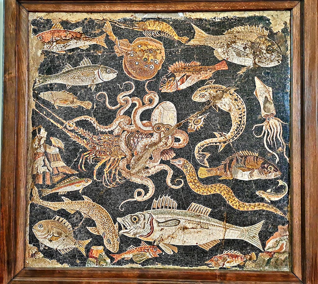 VIII.2.16 Pompeii. Mosaic emblema from triclinium. Now in Naples Archaeological Museum, inv. no. 120177.
Photo courtesy of Giuseppe Ciaramella. September 2024.
