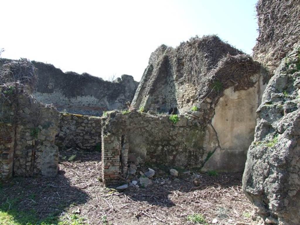 VIII.3.4 Pompeii.  March 2009.  Room 14.  West Portico, looking south towards Room 17.