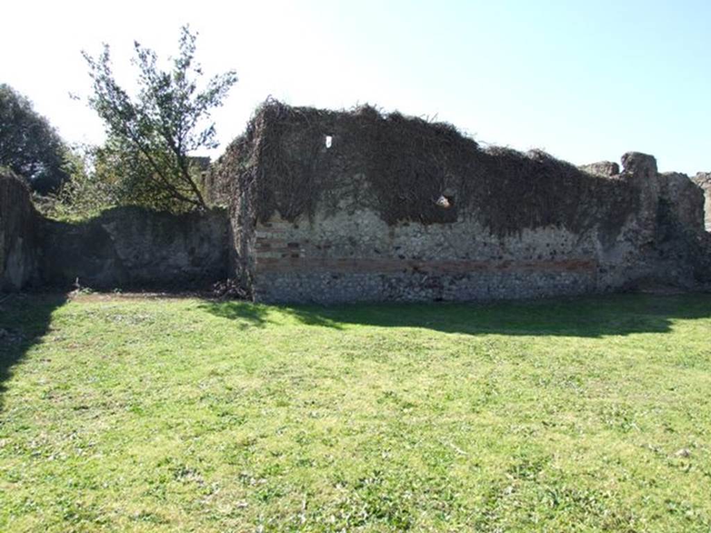 VIII.3.4 Pompeii.  March 2009. Room 18.  Rear garden area.  Looking south.