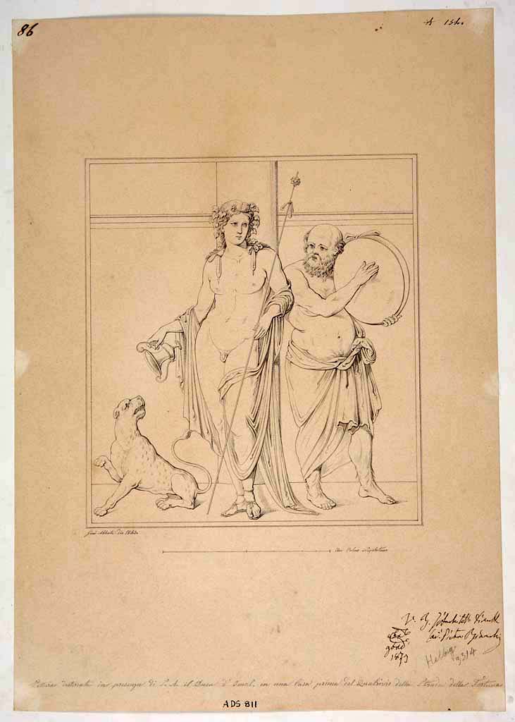 VIII.3.4 or V.1.7 Pompeii?
Drawing by Giuseppe Abbate, 1843, of painting of Bacchus with Silenus playing the tambourine.
According to the ICCD Scheda, “La collocazione della pittura raffigurata nel disegno nella Casa di Ercole e Auge a Pompei (VIII 3, 4) non è sicura.”
Now in Naples Archaeological Museum. Inventory number ADS 811.
Photo © ICCD. https://www.catalogo.beniculturali.it
Utilizzabili alle condizioni della licenza Attribuzione - Non commerciale - Condividi allo stesso modo 2.5 Italia (CC BY-NC-SA 2.5 IT)
According to PPM this has been wrongly identified with this house as Silenus was originally identified as playing a lyre.
See Carratelli, G. P., 1990-2003. Pompei: Pitture e Mosaici: Vol. VIII. Roma: Istituto della enciclopedia italiana, p. 357.
The wording below the drawing reads – 
“Painting excavated in the presence of Duke d’Omal in a house before the crossroads of the Strada della Fortuna”
See Helbig, W., 1868. Wandgemälde der vom Vesuv verschütteten Städte Campaniens. Leipzig: Breitkopf und Härtel, (395b).
According to Mary Harrsch [email], “I read your reference to a drawing of Dionysos and Silenus playing a tambourine where you pointed out that the fresco was misidentified as one within the Casa di Ercole ed Auge and mentioned it was recorded "Painting excavated in the presence of Duke d’Omal in a house before the crossroads of the Strada della Fortuna." Recently, I wrote an article about the House of the (Bronze) Bull and while researching that site, I translated the section of PAH volume 2 that described the excavation (according to the Swedish Pompeii Project), and each time the excavators appeared to be discussing the work there, they referred to the location as "before the crossroads of the Strada della Fortuna”. The PAH also describes multiple visits by nobility. So, I think that fresco was found in what is now known as the House of the Bull (V.1.7)”.

