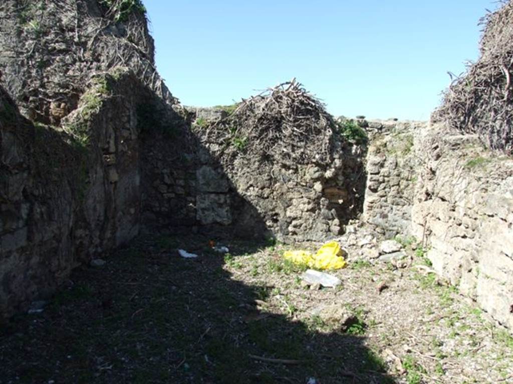 VIII.3.4 Pompeii.  March 2009. Room 7, Oecus.  West wall.