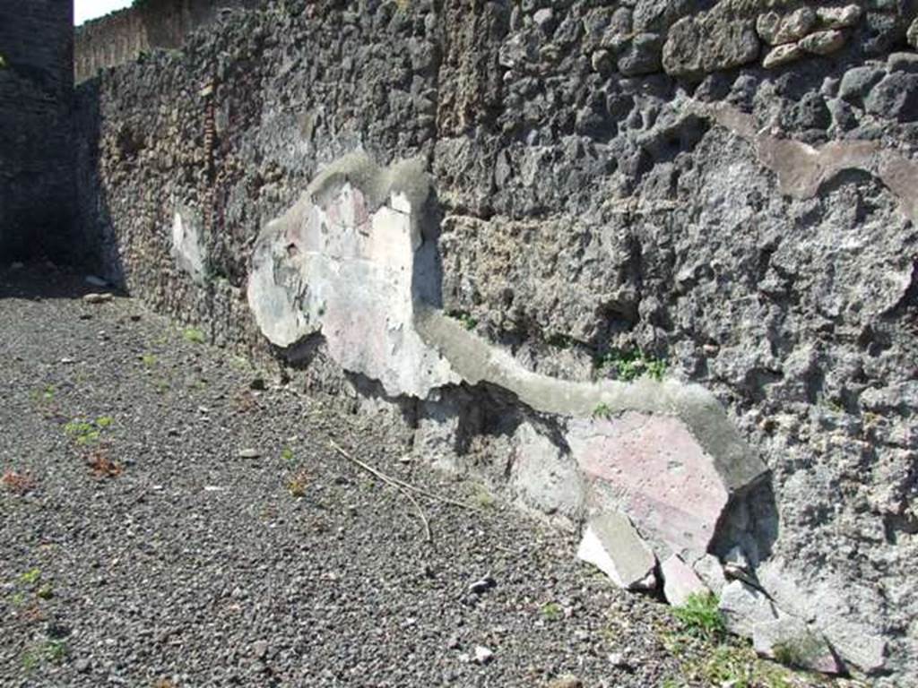 VIII.5.2 Pompeii. March 2009. Room 8, west wall of west portico of peristyle garden.  