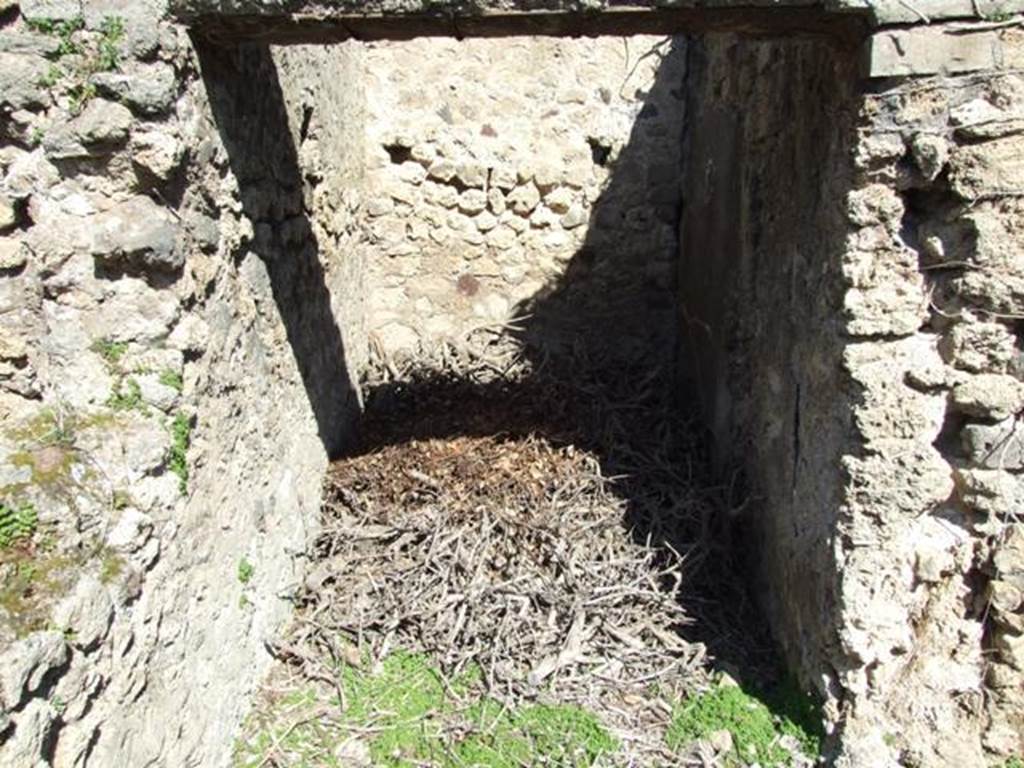 VIII.5.2 Pompeii.  March 2009.  Room 15. Small room or cupboard. Looking north.