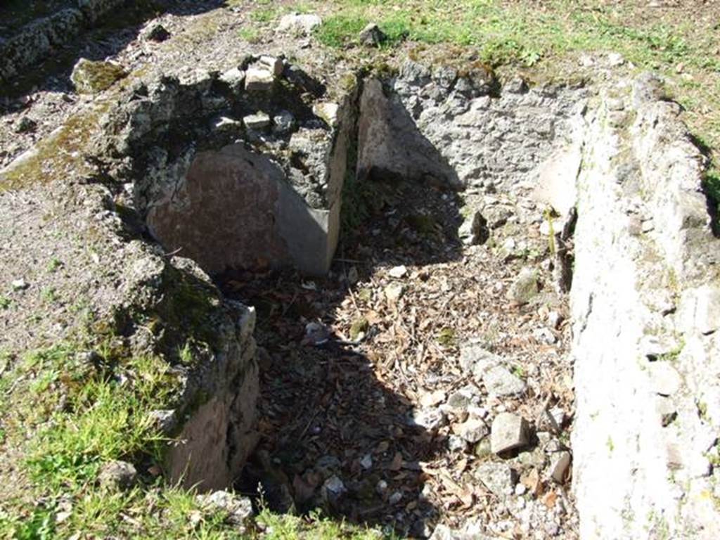 VIII.5.2 Pompeii. March 2009. Room 8, looking west across pool in peristyle garden.  