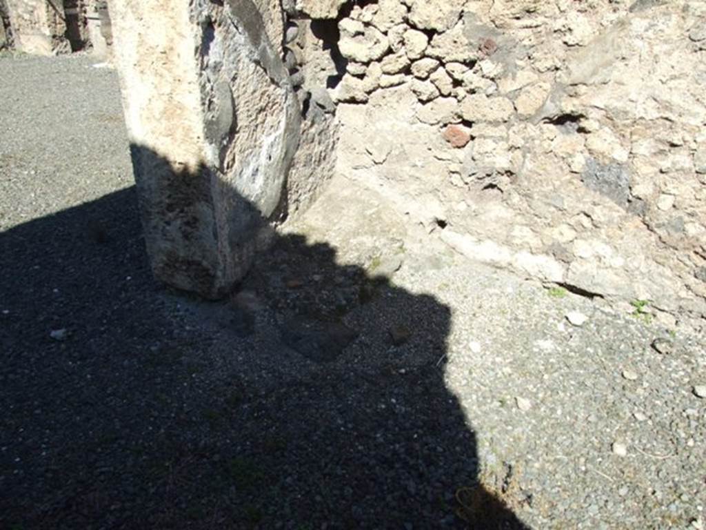 VIII.5.2 Pompeii.  March 2009.  Room 24.  North wall, with small podium in north west corner.