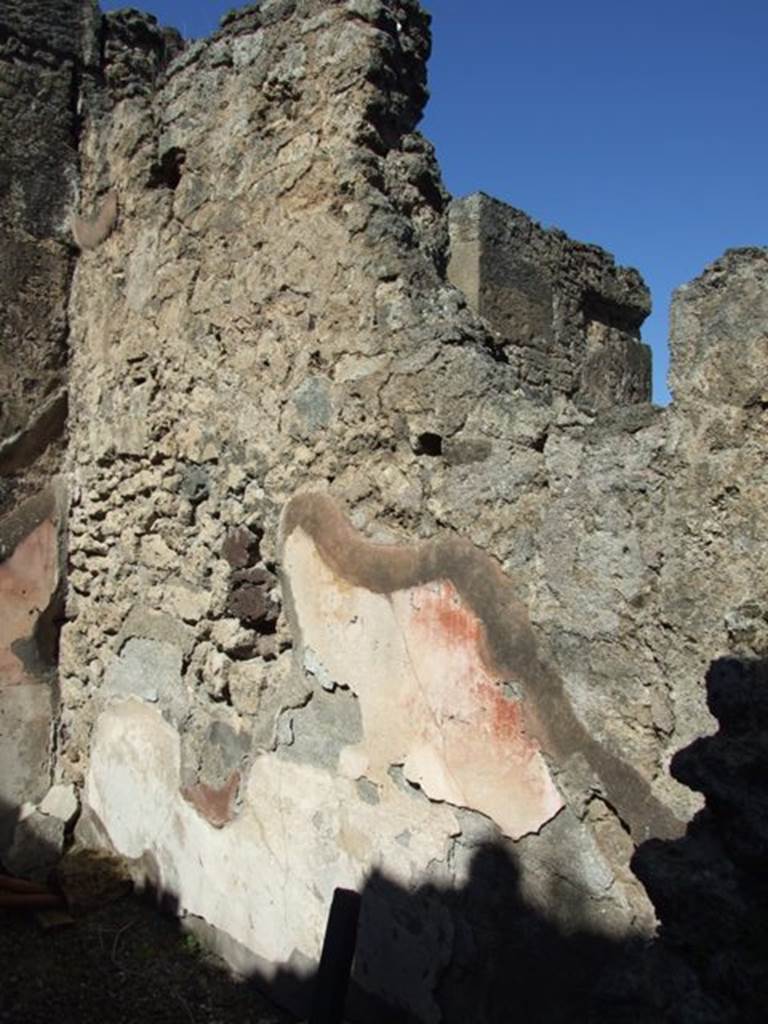 VIII.5.5 Pompeii.  March 2009. Room 26.  Oecus. North wall.