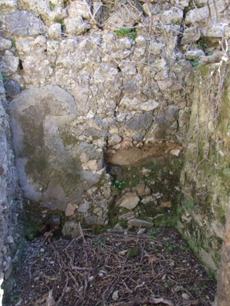 VIII.5.5 Pompeii.  March 2009. Room 29. Latrine.