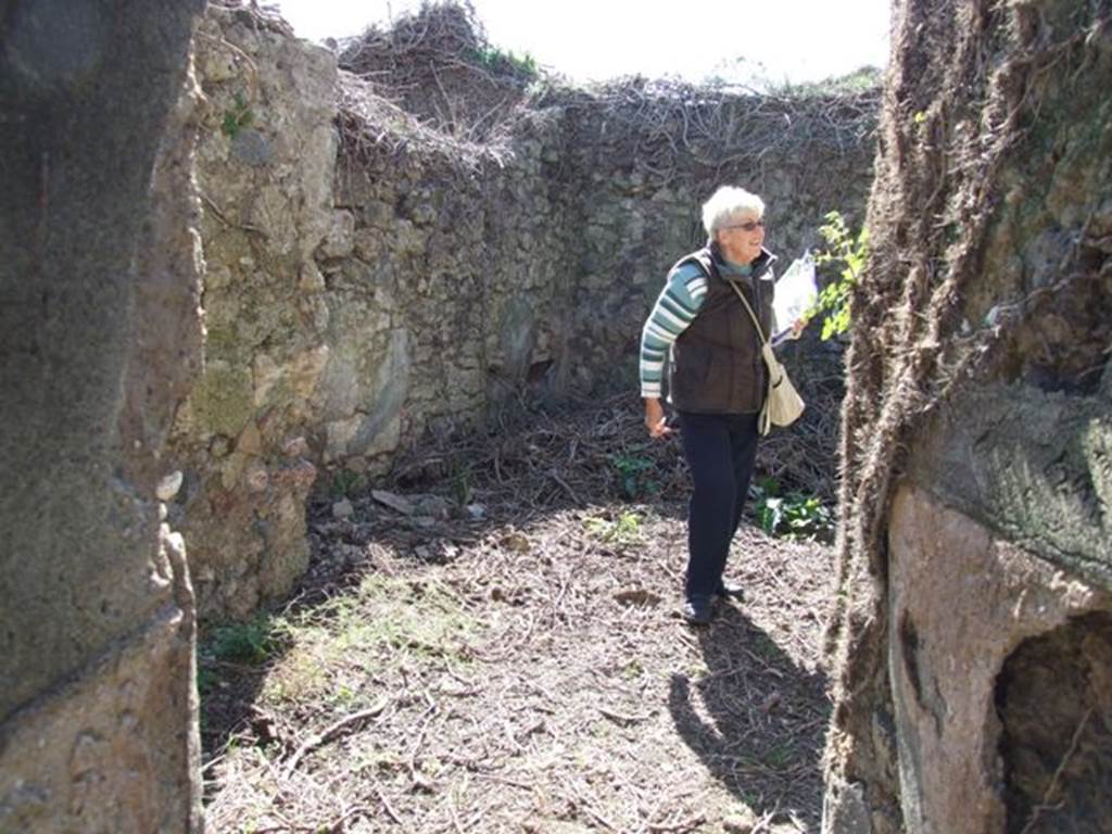 VIII.5.5 Pompeii.  March 2009.  Room 30. Kitchen, looking south.