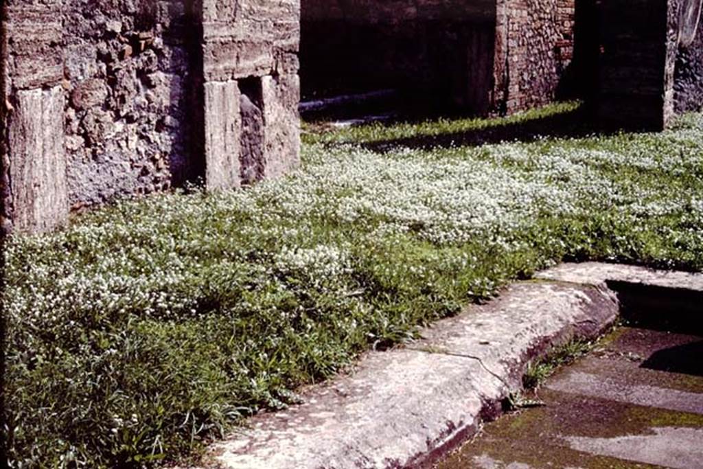 VIII.5.2 Pompeii. c.1984. Room 1, atrium. Looking south-east across impluvium.
Source: The Wilhelmina and Stanley A. Jashemski archive in the University of Maryland Library, Special Collections (See collection page) and made available under the Creative Commons Attribution-Non Commercial License v.4. See Licence and use details.
J84f0021 
