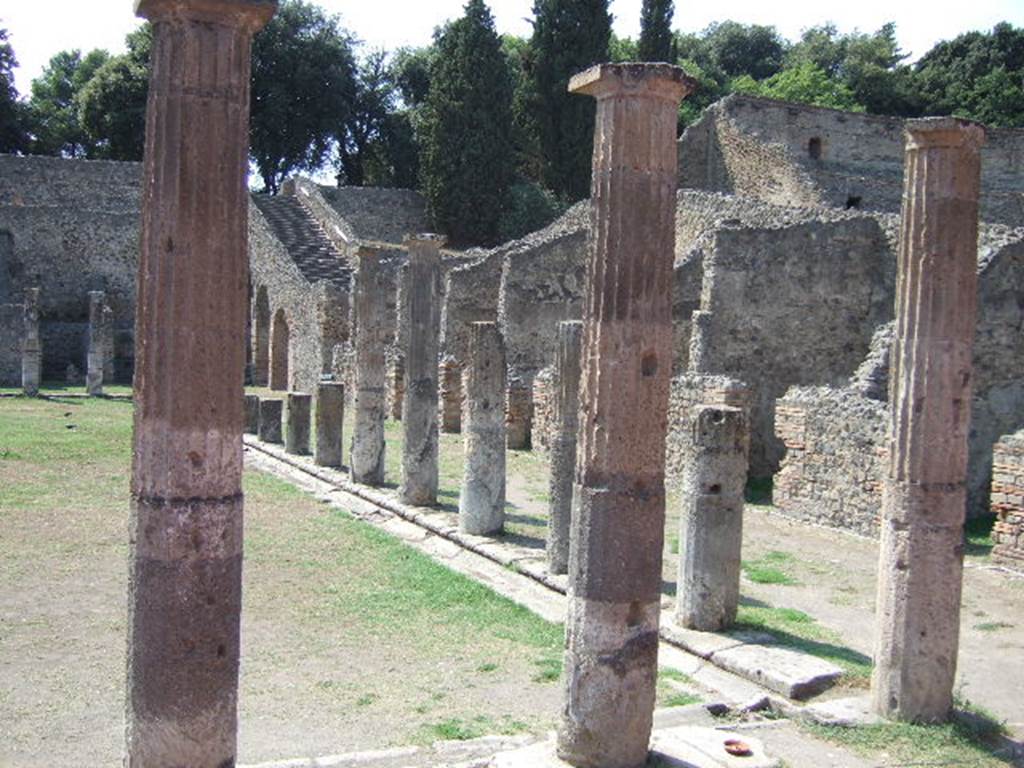 VIII.7.16 Pompeii. May 2006. Looking west from north east corner. A few of the 74 Doric columns that enclosed the large open central area.