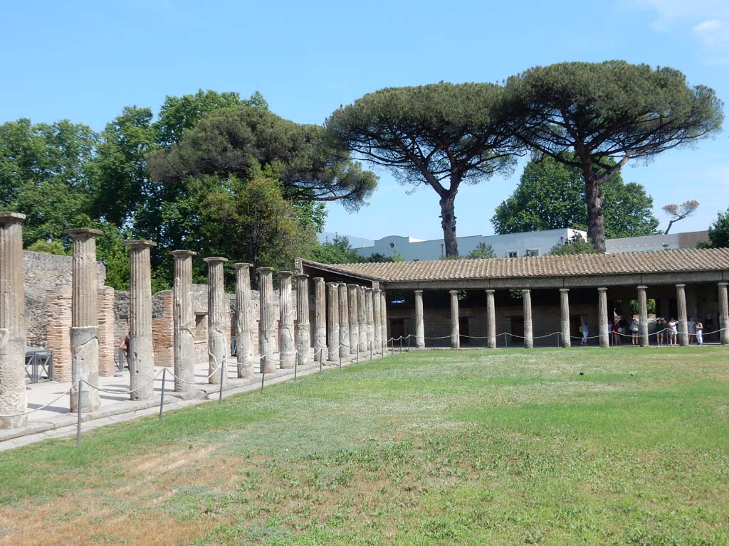 VIII.7.16 Pompeii. June 2019. Looking south along east side, from north-east corner.
Photo courtesy of Buzz Ferebee.