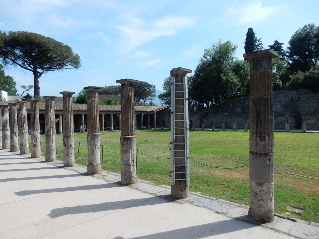 VIII.7.16 Pompeii. June 2019. Looking south-west across central area. Photo courtesy of Buzz Ferebee.