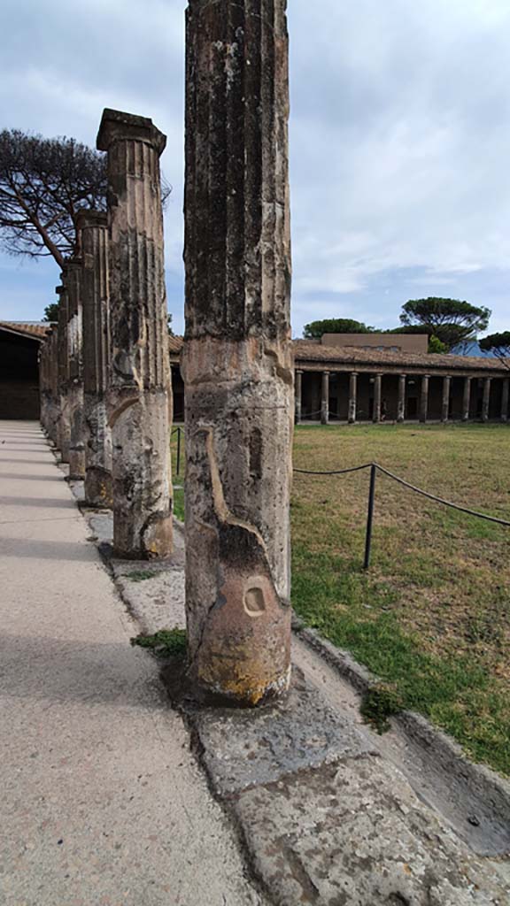 VIII.7.16 Pompeii. August 2021. Looking south at columns on east side.
Foto Annette Haug, ERC Grant 681269 DÉCOR.