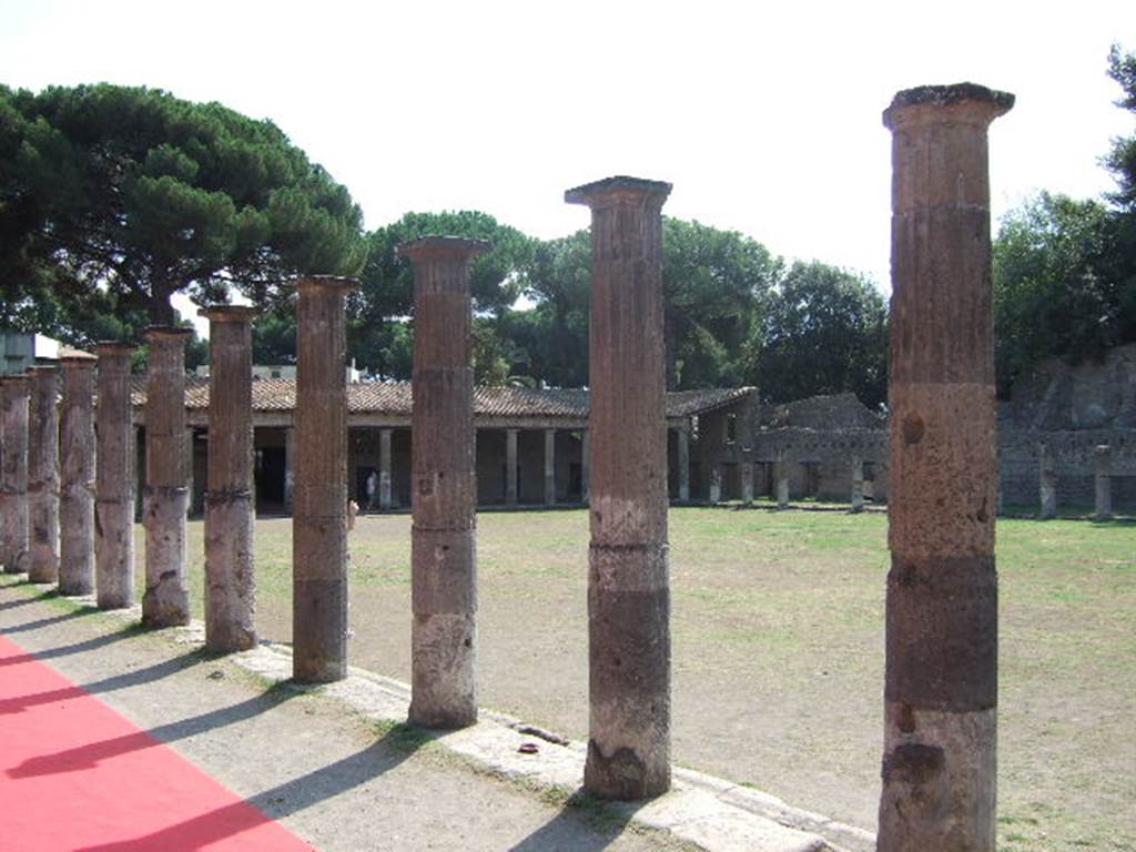 VIII.7.16 Pompeii. September 2005. North east corner. Looking south west across central area.