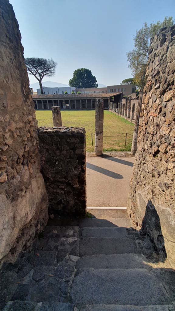 VIII.7.16 Pompeii. July 2021. Looking south down steps from Triangular Forum.
Foto Annette Haug, ERC Grant 681269 DÉCOR.