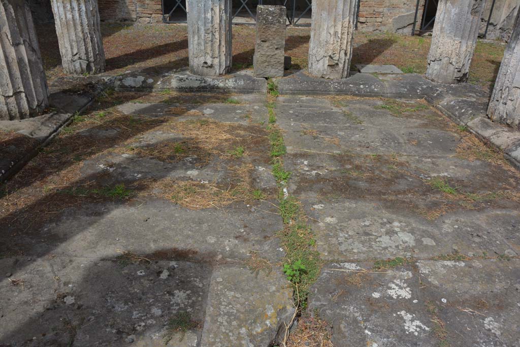 IX.1.20 Pompeii. September 2019. Room 2, detail of impluvium, looking north.
Foto Annette Haug, ERC Grant 681269 DÉCOR