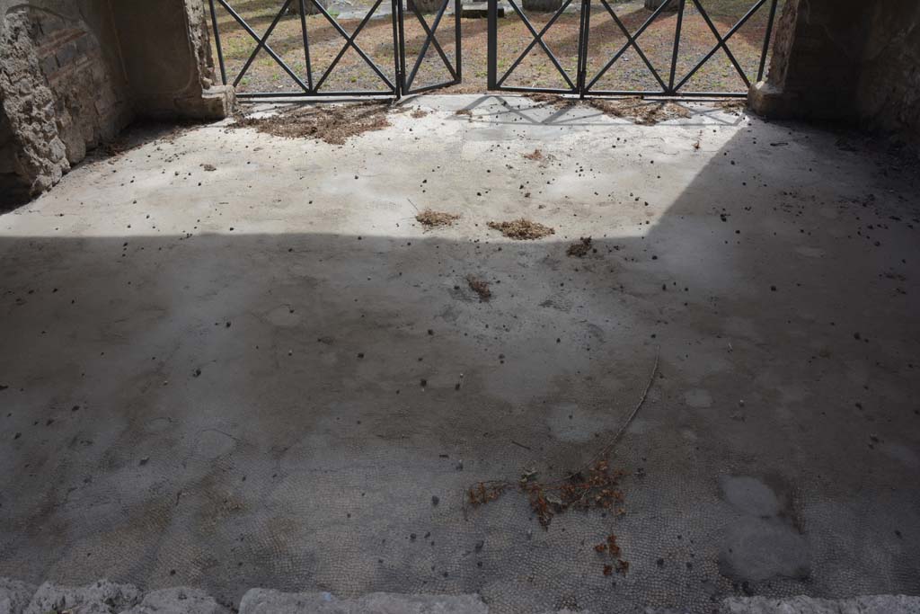 IX.1.20 Pompeii. September 2019. Room 10, looking south across flooring in tablinum.
Foto Annette Haug, ERC Grant 681269 DÉCOR