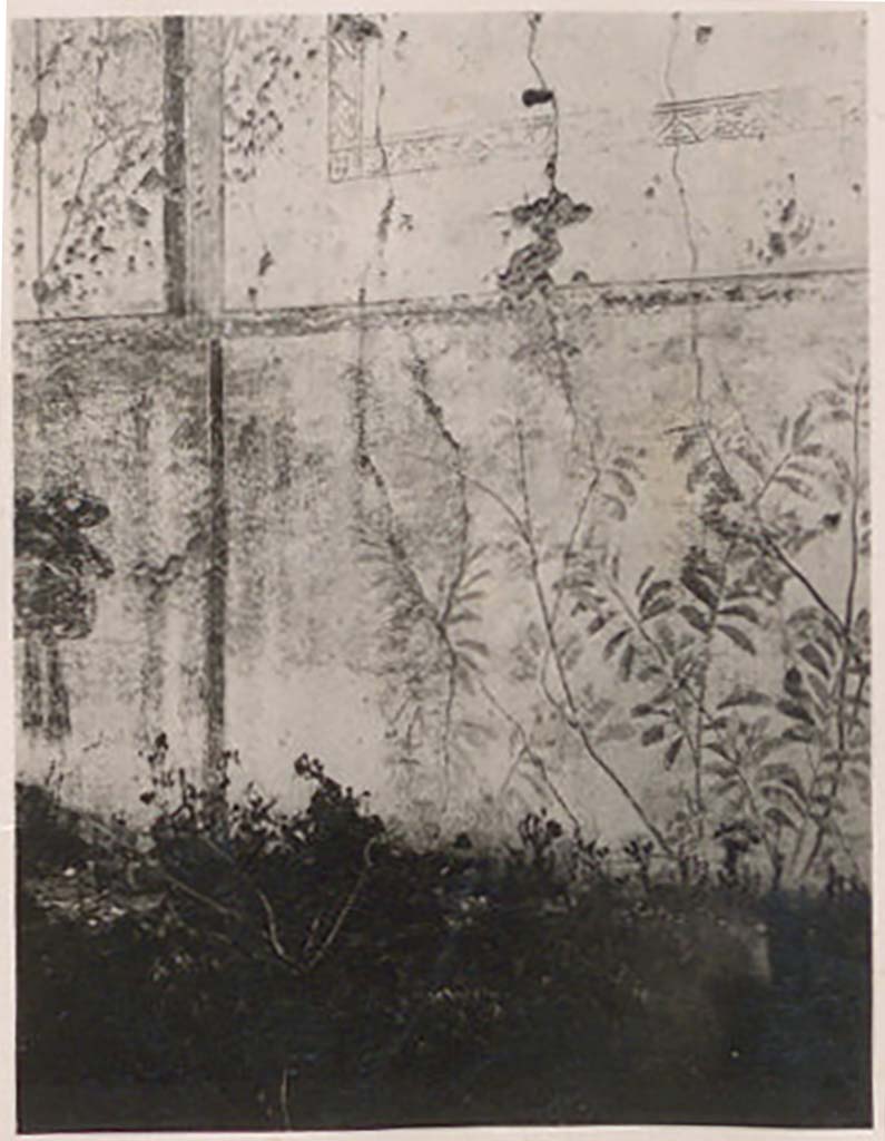 IX.1.20 Pompeii. Pre-1943. Painted decoration on the north wall. Photo by Tatiana Warscher.
According to Warscher –
“On the north wall are some traces of painting: the most common decoration on the central panel and also
bushes on the zoccolo”.
See Warscher, T. Codex Topographicus Pompeianus, IX.1. (1943), Swedish Institute, Rome. (no.107), p. 186.