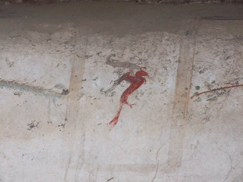 IX.1.20 Pompeii. December 2007. Room 18, ala, painting of bird or griffin from south wall.
