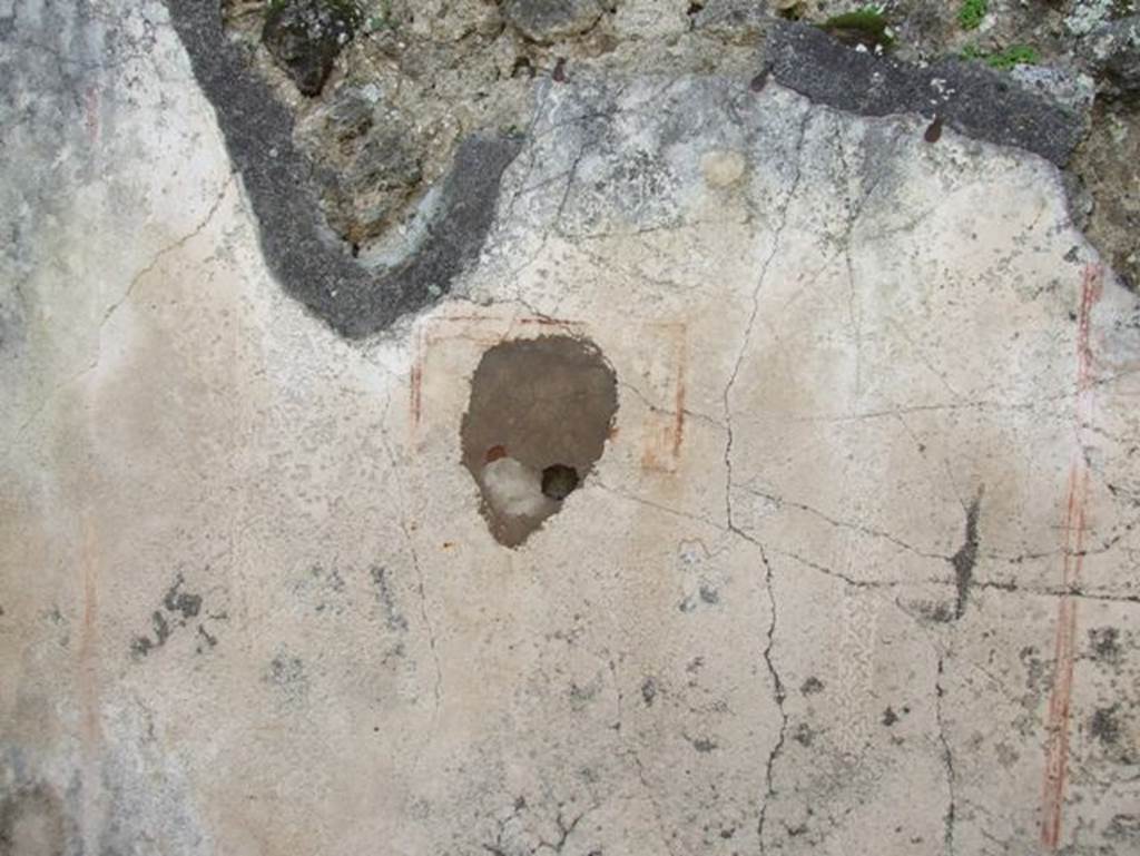 IX.2.16 Pompeii.  March 2009.  Remains of painted plaster.