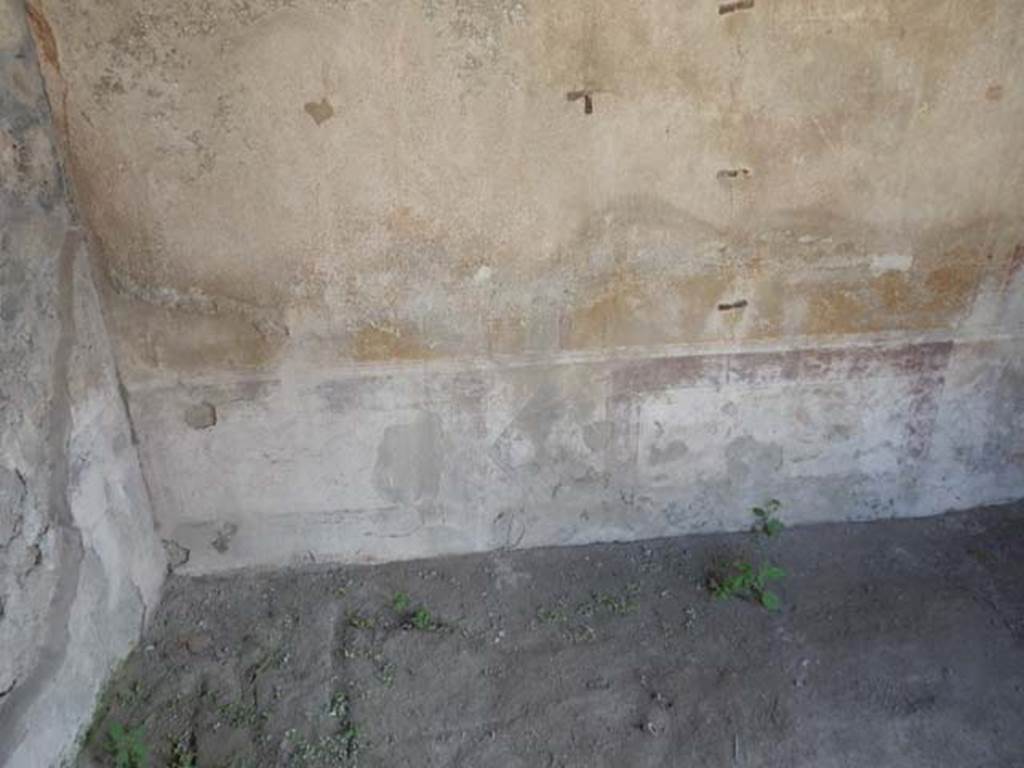 IX.2.27 Pompeii. May 2017. Detail of lower (zoccolo) west wall of triclinium. Photo courtesy of Buzz Ferebee.