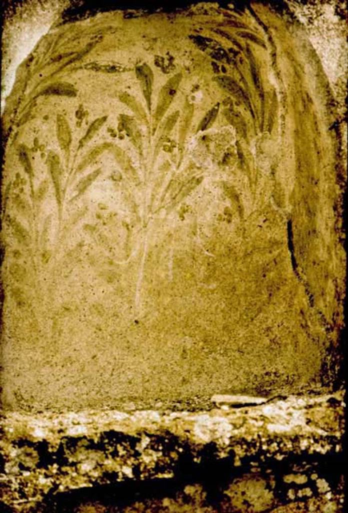 IX.3.12 Pompeii. Niche on south wall.
Photographed 1970-79 by G�nther Einhorn, picture courtesy of his son Ralf Einhorn.

 
